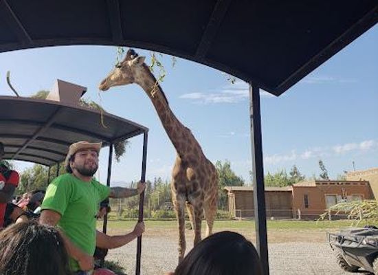 chile/rancagua/attraction/chile-safari-park