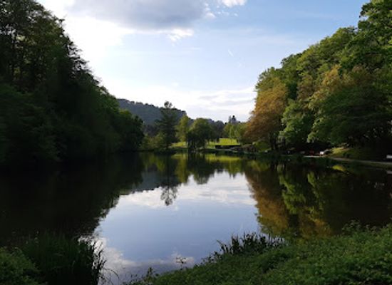 slovenia/maribor/lent/attraction/akvarij-terarij-maribor