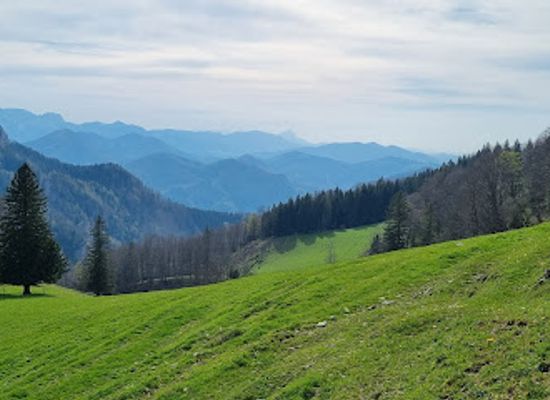 austria/upper-austria/attraction/dorngraben-brunnen