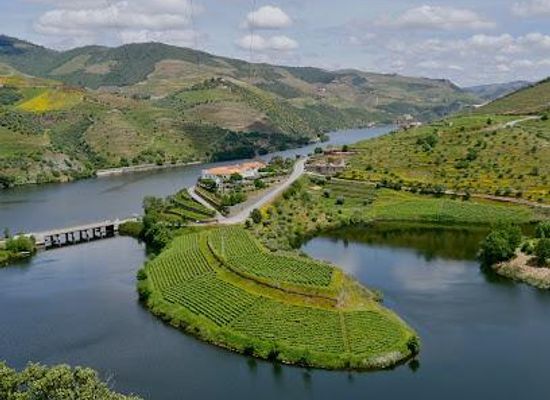 portugal/vila-real/attraction/quinta-do-tedo