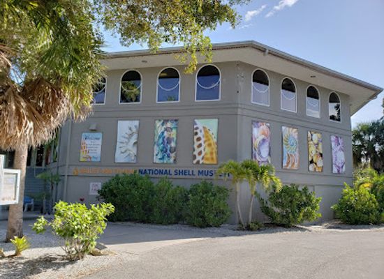 florida/southeast-florida/attraction/bailey-matthews-national-shell-museum-aquarium
