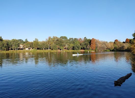 south-africa/gauteng/attraction/johannesburg-botanical-gardens