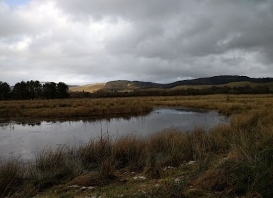 united-kingdom/scotland/attraction/moffat-community-nature-reserve