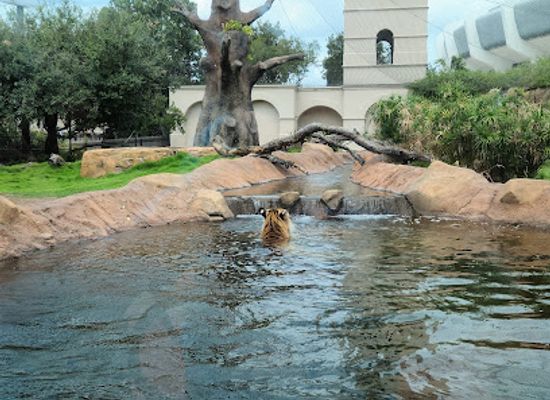 louisiana/baton-rouge/attraction/mike-the-tiger-s-habitat