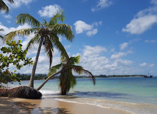 dominican-republic/los-haitises/attraction/playa-punta-popy