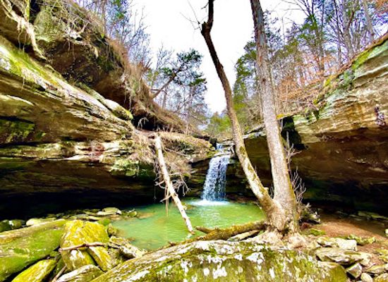 illinois/illinois-ozarks/attraction/camp-ondessonk