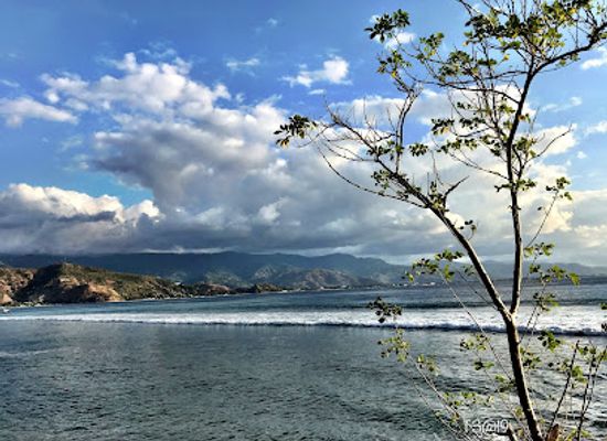 timor-leste/dili-beaches/attraction/cristo-rei-of-dili