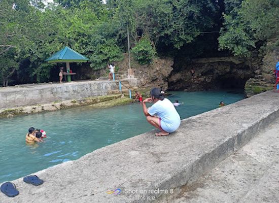 philippines/bohol/attraction/mangrove-sanctuary-of-taloto