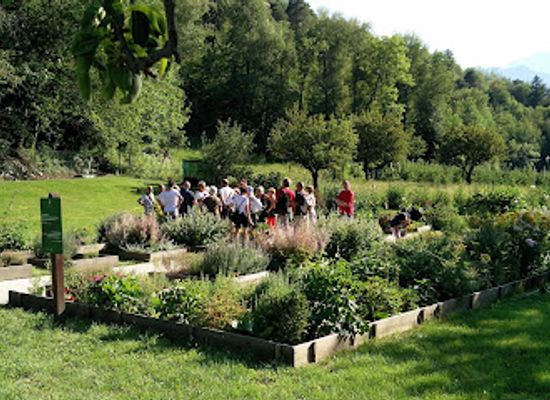 italy/gran-paradiso-national-park/attraction/jardin-des-anciens-remedes