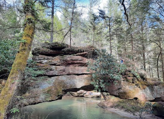 kentucky/red-river-gorge-geological-area/attraction/rock-bridge-hike-trail-head