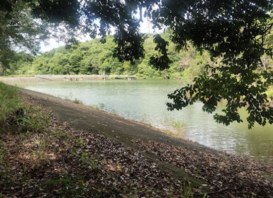 brunei/mukim-bangar/attraction/tasek-reservoir