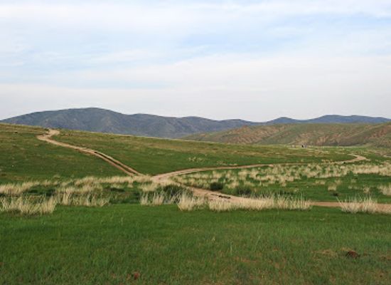 mongolia/ikh-nuur-basin/attraction/hustai-national-park