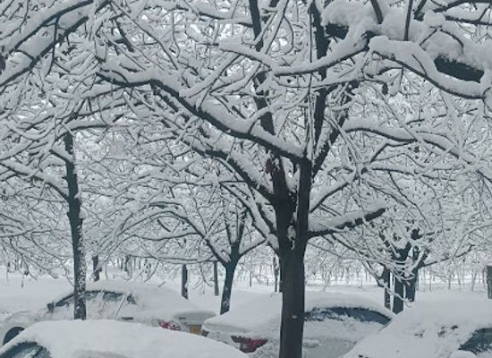 india/kashmir-valley/attraction/dream-winter-tour-and-travel-kashmir