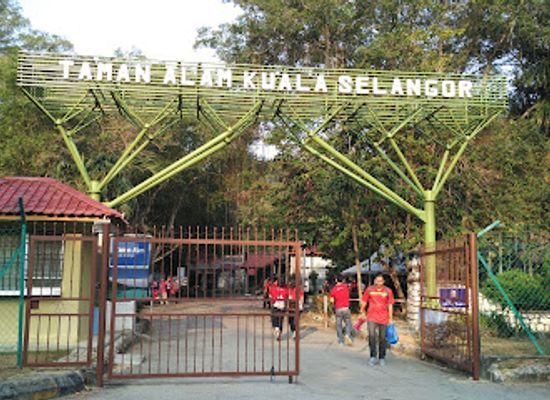 malaysia/selangor/attraction/taman-alam-kuala-selangor