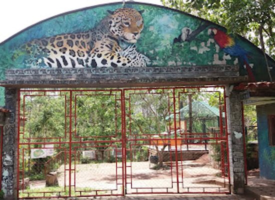 honduras/central-highlands/attraction/metropolitan-zoo-rosy-walther