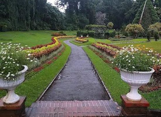 sri-lanka/kandy/attraction/royal-botanic-gardens-peradeniya