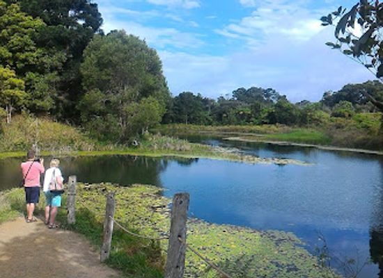 australia/atherton-tablelands/attraction/australian-platypus-park-tarzali-lakes