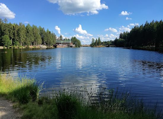 germany/fichtel-mountains/attraction/naturwaldreservat-fichtelseemoor