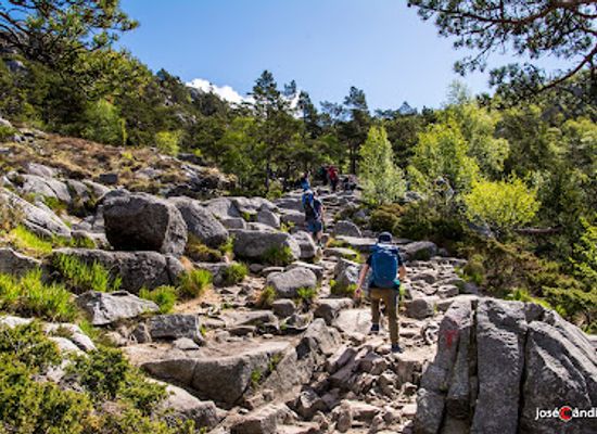 norway/lysefjord/attraction/preikestolen-trail-plataet