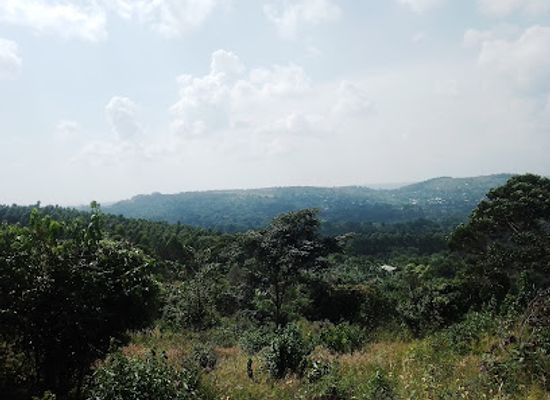 uganda/eastern-region/attraction/eden-hills