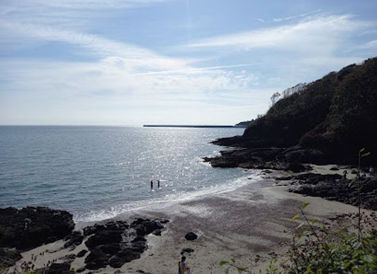 jersey/saint-saviour/attraction/la-coupe-bay