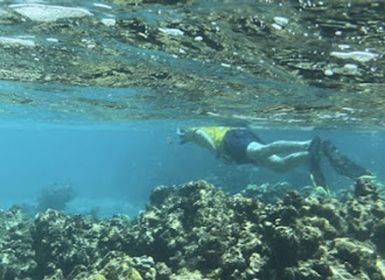 antigua-and-barbuda/saint-mary/attraction/cades-reef