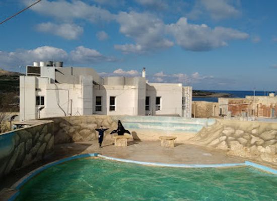 malta/mistra-bay/attraction/mediterraneo-marine-park