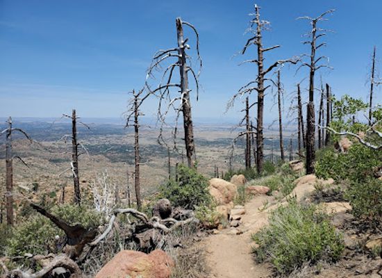 arizona/prescott-national-forest/attraction/granite-mountain