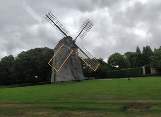new-york/the-hamptons/attraction/westhampton-dwarf-pine-plains-preserve