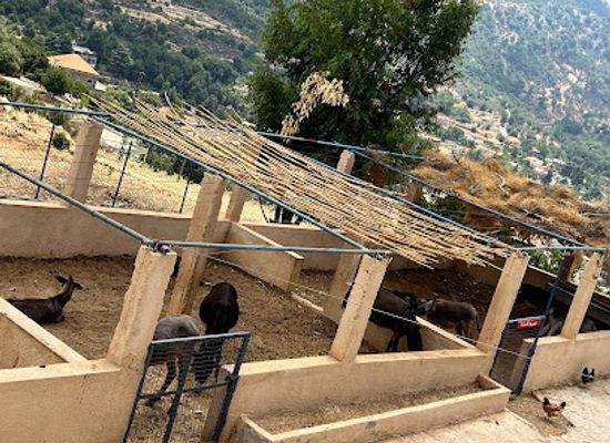 lebanon/chouf/attraction/the-donkey-farm