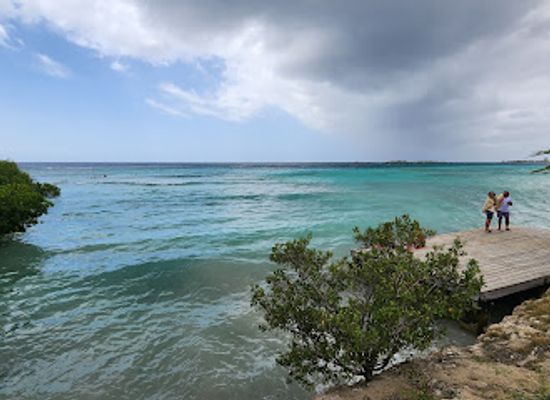 aruba/natural-pool/attraction/mangel-halto