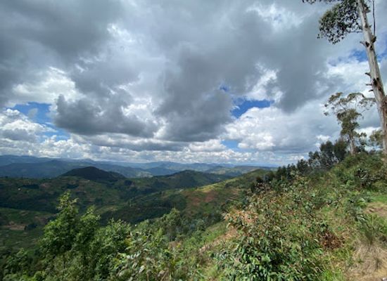 rwanda/nyabarongo-river/attraction/ishematours-rwanda