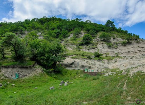 romania/hunedoara/attraction/valea-dinozaurilor