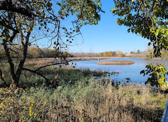 ohio/maumee-valley/attraction/manhattan-marsh-preserve-metropark