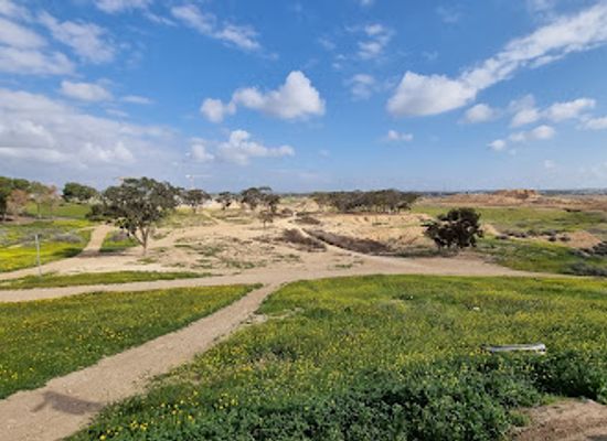 israel/negev-desert/attraction/Mitzvat Patish