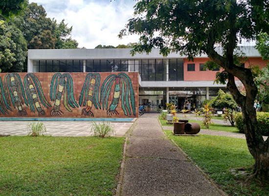 brazil/recife/attraction/museu-do-homem-do-nordeste