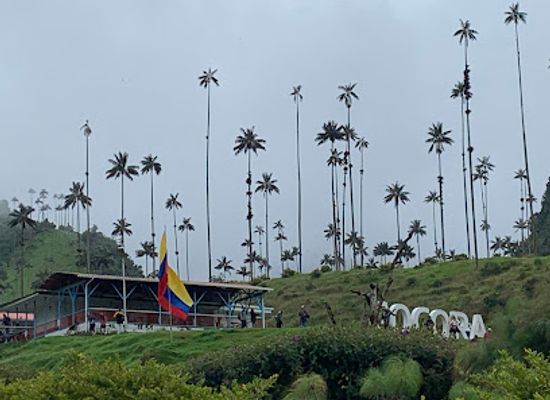 colombia/coffee-axis/attraction/cocora-valley