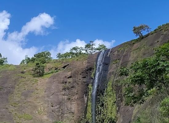 india/kerala/attraction/aaliveenakuthu-waterfalls