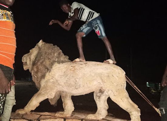burkina-faso/centre-north/attraction/rond-point-du-lion