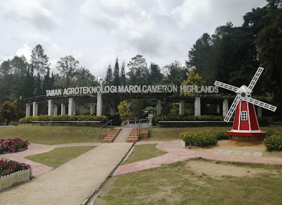 malaysia/kelantan/attraction/taman-agroteknologi-mardi-cameron-highlands