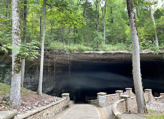 alabama/tombigbee-river/attraction/cathedral-caverns-state-park