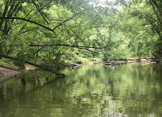 indiana/yellowwood-state-forest/attraction/north-fork-state-wildlife-refuge