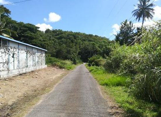 grenada/guava/attraction/la-sagesse-beach