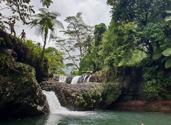 samoa/vaisigano/attraction/o-le-pupu-pue-national-park