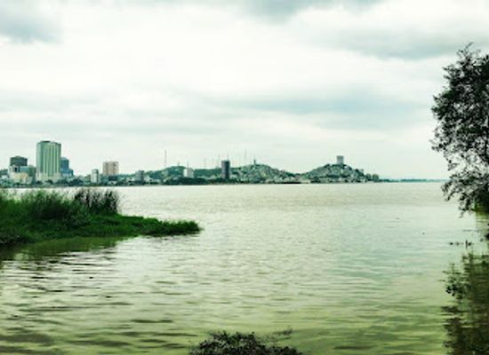 ecuador/guayas-region/attraction/isla-santay