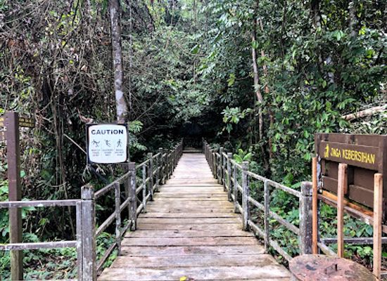 malaysia/sarawak/attraction/wind-caves