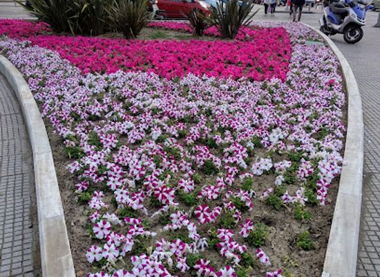 greece/thessaloniki/aristotelous-square/attraction/archaeological-museum-of-thessaloniki