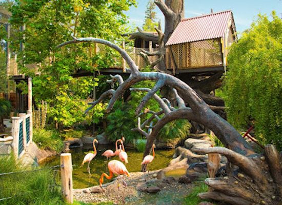 california/menlo-park/attraction/palo-alto-junior-museum-and-zoo