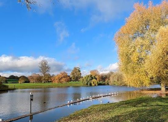 united-kingdom/buckinghamshire/attraction/verulamium-park