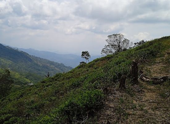 sri-lanka/knuckles-mountain-range/attraction/gombaniya-hiking-trail-starting-point